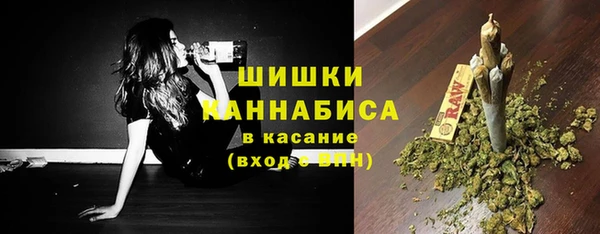 шишки Абаза