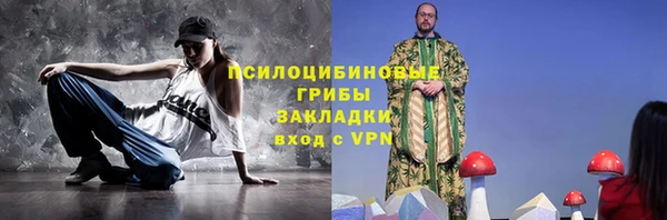 молекула духа Алексеевка