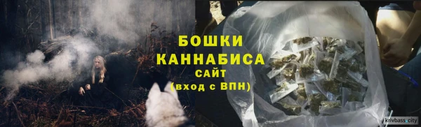 молекула духа Алексеевка