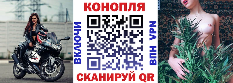 KRAKEN как войти продажа наркотиков Отрадная Конопля сатива